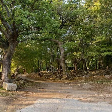 La Sorgente Del Radicino Farm stay *