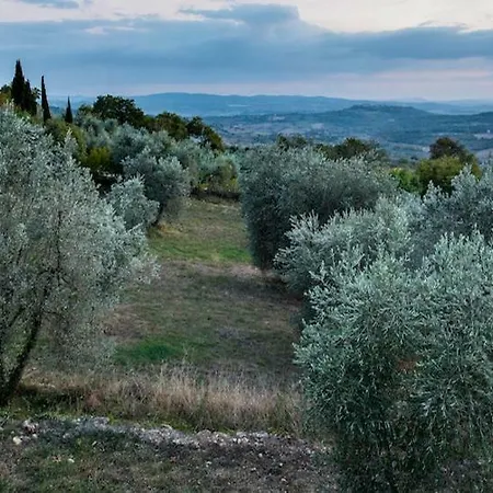 La Sorgente Del Radicino * Semproniano
