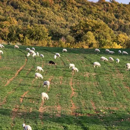 Séjour à la ferme La Sorgente Del Radicino